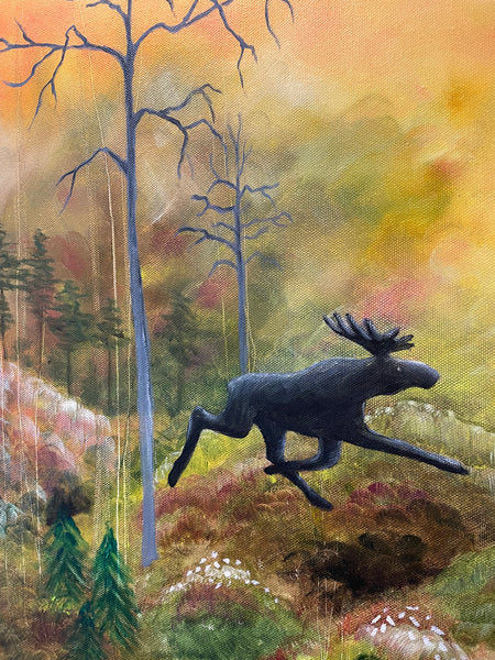 Den magiska vita älgen