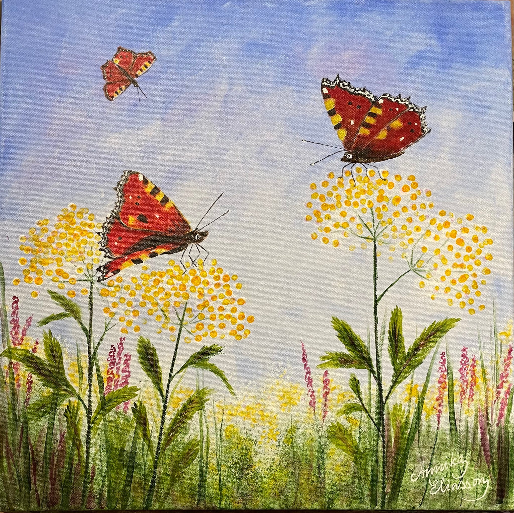 Butterflies