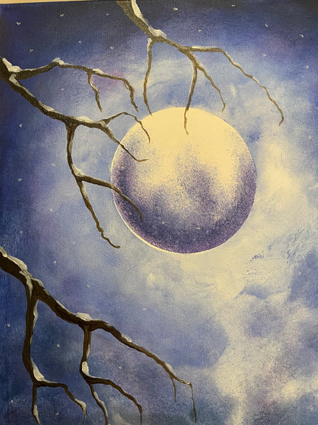 Vinterns fågelskådare